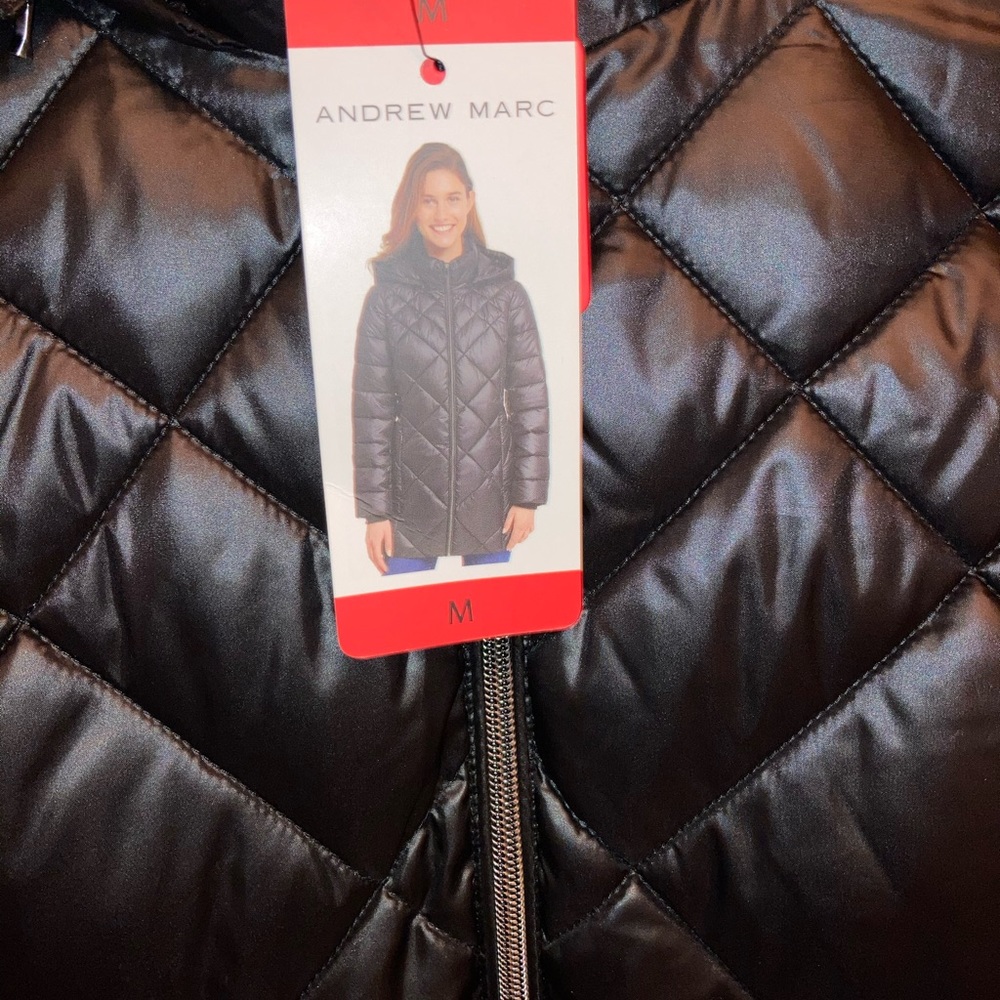 Jackets - Picture 5 of 16
